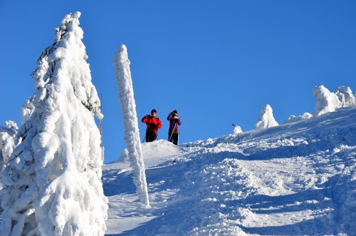 Through the most beautiful parts of the Giant Mountains on cross-country skis or on ski alps - Luční bouda - Klínovky