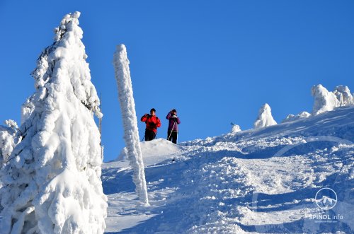 Gennem de smukkeste dele af Krkonoše på langrendski eller på ski-alperne - Luční bouda - Klínovky