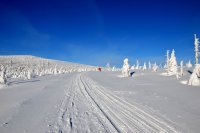 Zimní výlet Krkonoše pod Petrovkou