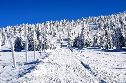 TOP 3 mooiste wintertochten rond Špindlerův Mlýn en het Reuzengebergte