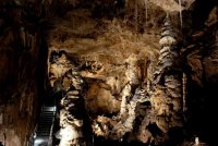 Bozkovské dolomitové jeskyně - Bozkov