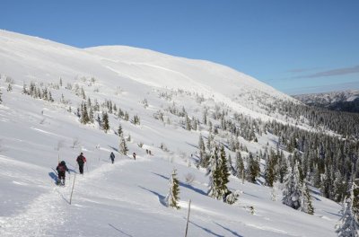 5. TIPP auf Skialpy von Pec pod Sněžkou Modrý dol durch Výrovka und zurück nach Pec pod Sněžkou