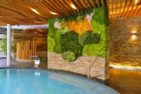 Sauna Wellness Olympie - Špindlerův Mlýn