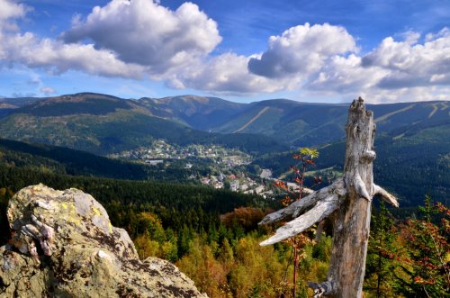 Bear Way - educational trail with posted information about Medvědín