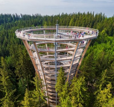 Treetop trail - Janské Lázně