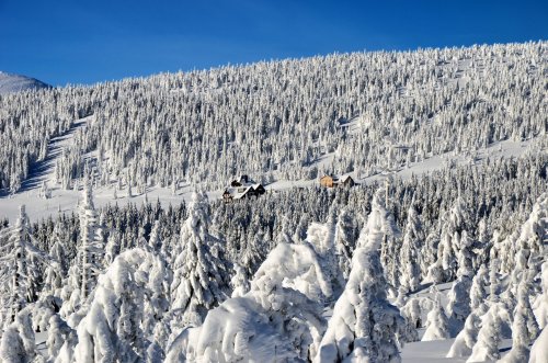 7 tips voor het huren van een heel vakantiehuis in Spindleruv Mlyn