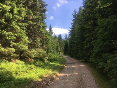 Cyklovýlet z Medvědína přes Horní Mísečky a Rovinku do Špindlerova Mlýna 