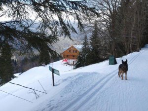 Ubytování - Pension Horalka - Špindlerův Mlýn - Krkonoše