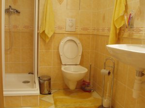 Apartmány Horní Mísečky - Reuzengebergte