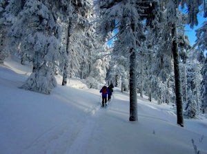 Ubytování - Brádlerovy Boudy - Špindlerův Mlýn - Krkonoše