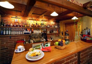 Restaurant Bakchus - Hotel Erika - Špindlerův Mlýn - Krkonoše