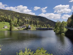 Ryby a rybaření ve Špindlu