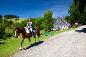 Tourist horse ride trekking - Kněžice