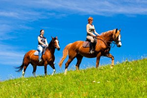 Toeristische ritten - Paardrijden - Kněžice