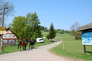 Tourist horse ride trekking - Kněžice