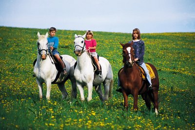 Turistická jízdárna - koně - Kněžice