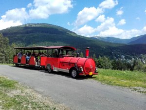 Excursion train