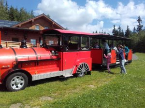 Excursion train