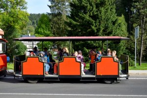 Excursion train