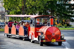 Excursion train