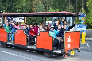 Excursion train