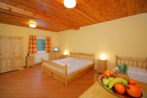 Ubytování - Hotel Lesana Špindlerův Mlýn - room