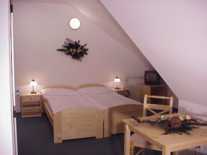Ubytování - Hotel Esprit - Špindlerův Mlýn - room
