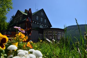 Accommodation - Hotel Panorma - Špindlerův Mlýn - Svatý Petr - Krkonoše