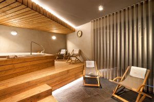 Residence Grand Suites - Špindlerův Mlýn - wellness