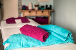 Wellness Hotel Gendorf - Vrchlabí - Reuzengebergte