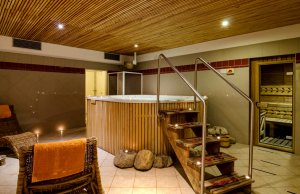 Wellness Hotel Gendorf - Vrchlabí - Karkonosze