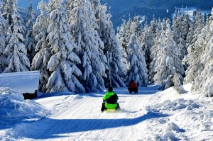 Toboggan run