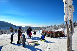 Toboggan run