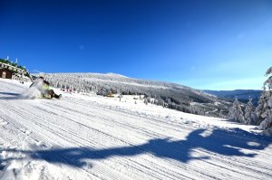 Toboggan run