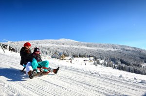 Toboggan run