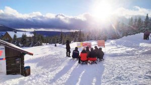 Toboggan run