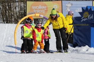 Yellow point skiudlejning