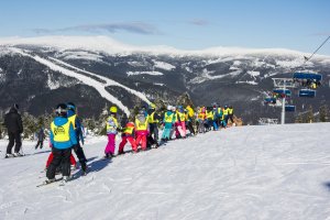 Yellow point ski rental