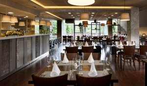 Buffet Restaurant Labe - Pinia Hotel & Resort - Riesengebirge