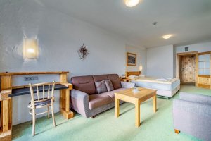 Accommodation - Resort Sv. František - Erlebachova bouda - room