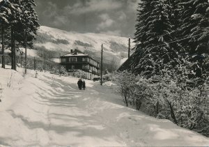 Alpský hotel