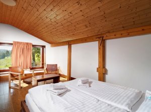 Hotel Adam - Špindlerův Mlýn - Svatý Petr  - pokoje