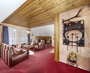 Accommodation - Hotel Martin - Špindlerův Mlýn - Krkonoše - room