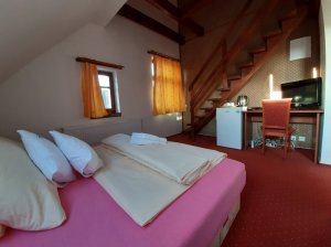 Noclegi - Hotel TTC - Vrchlabí - Karkonosze