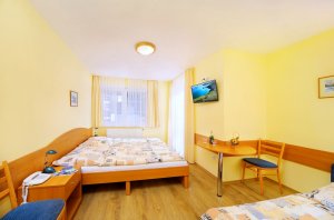 Accommodatie - Pension Alba - Spindleruv Mlyn - Reuzengebergte - zimmer