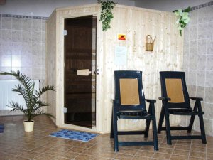 Apartmány Apollo Špindlerův Mlýn - sauna