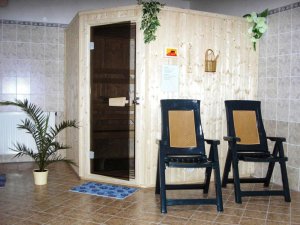 Pension Apollo Špindlerův Mlýn - sauna