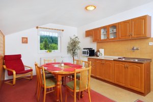 Pension Balcar Špindlerův Mlýn - apartment Krkonoše