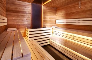 OREA Hotel Horal - Spindleruv Mlyn - sauna