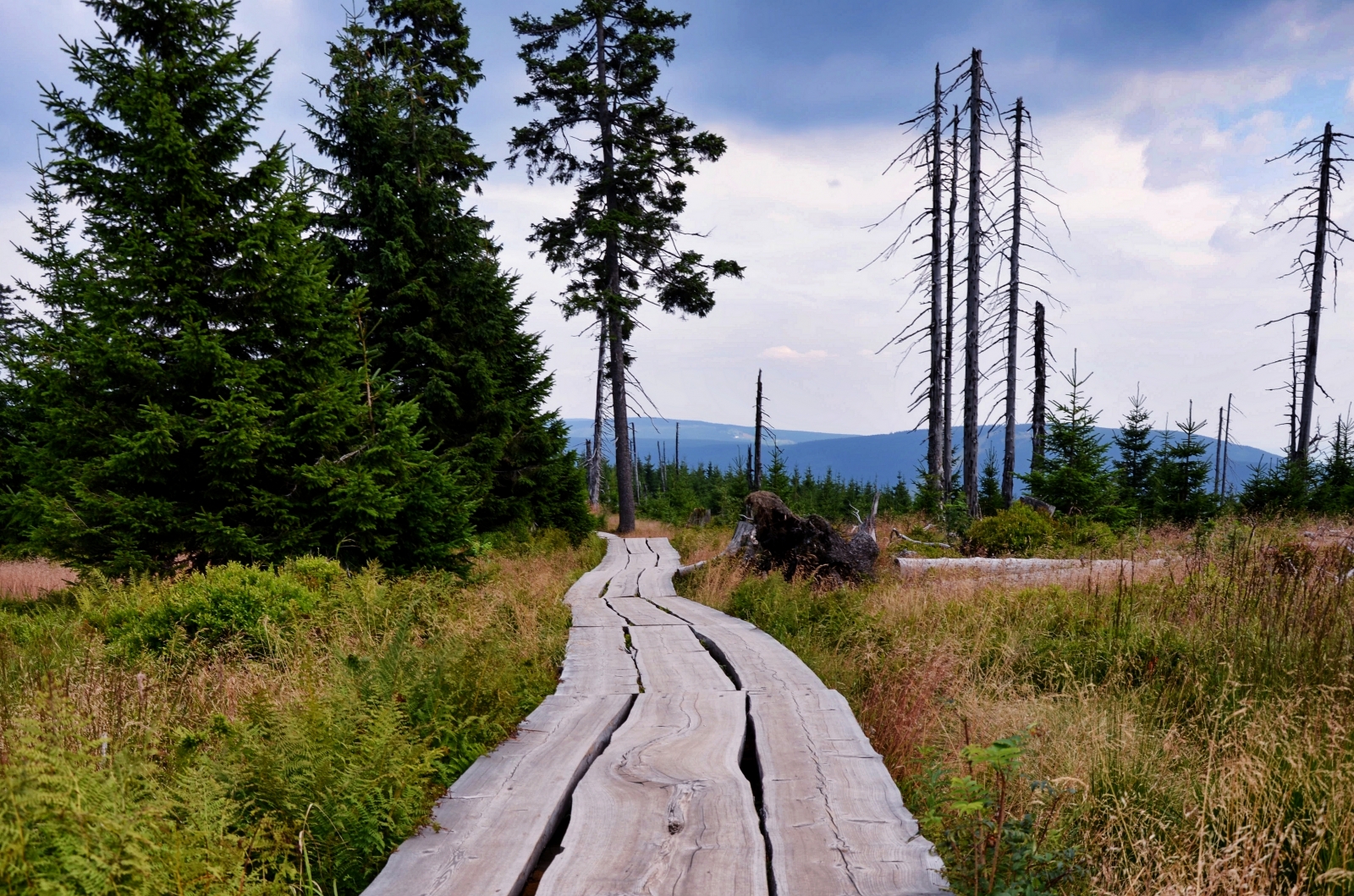 Trip with a pram to the Source of the Elbe - barrier-free route ...